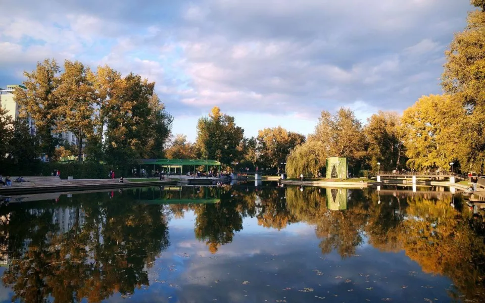 Новый уровень. Что нового принес жаркий сезон в зелено-парковой культуре Барнаула