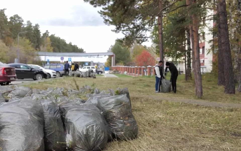 В Барнауле стартовал традиционный месячник осенней санитарной очистки