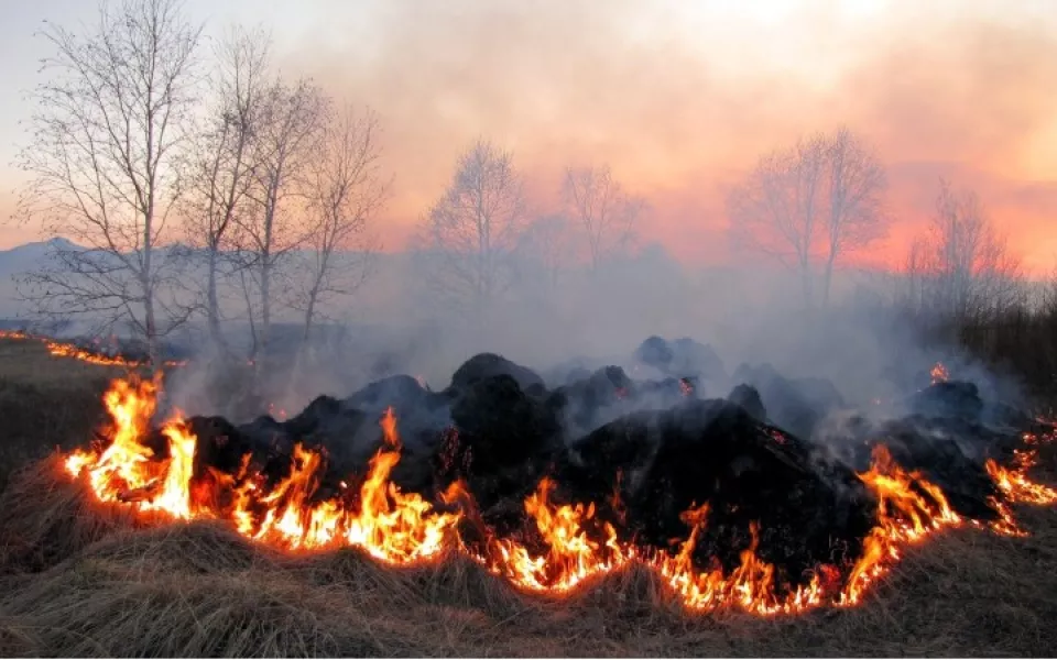 На полях в Алтайском крае возникло несколько очагов пожара