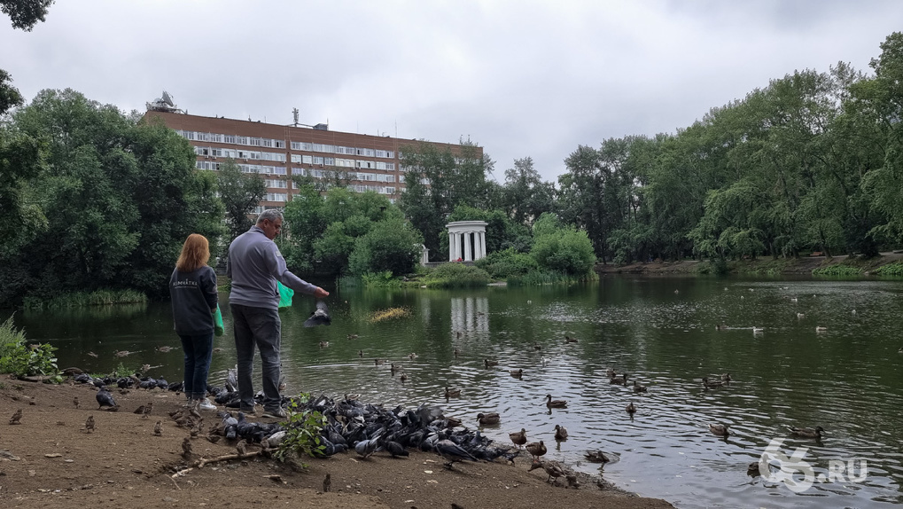 Харитоновский сад не могут отреставрировать больше 10 лет. Каким он должен был стать и какой сейчас