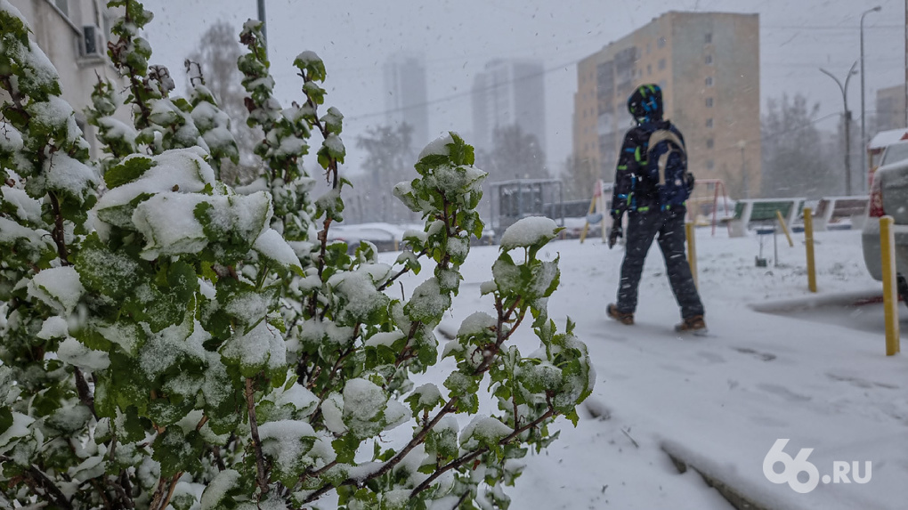 Главы борются друг с другом за выживание. Рейтинг районов города по тоннам вывезенного снега