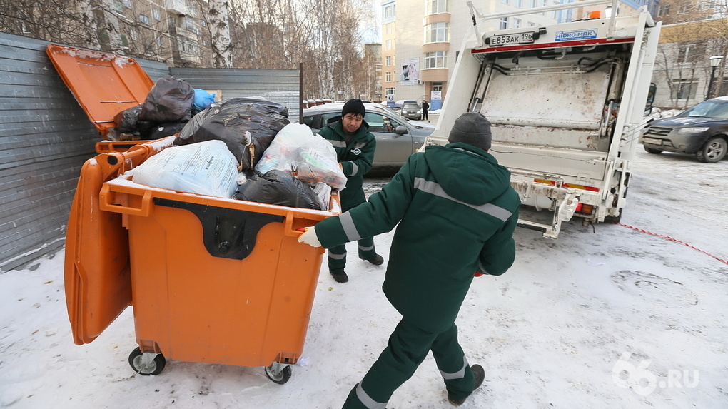 Когда вывезут мусор и куда звонить, если бак переполнен: «Спецавтобаза» сообщила о работе в каникулы