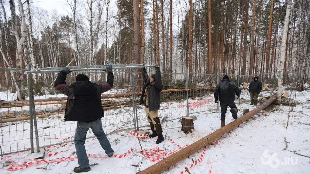 Как «Атомстройкомплекс» получил березовую рощу под застройку. Хронология судов и протестов