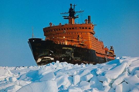 Зачем в Санкт-Петербурге был создан Арктический комитет, и почему был оптимизирован спустя семь лет