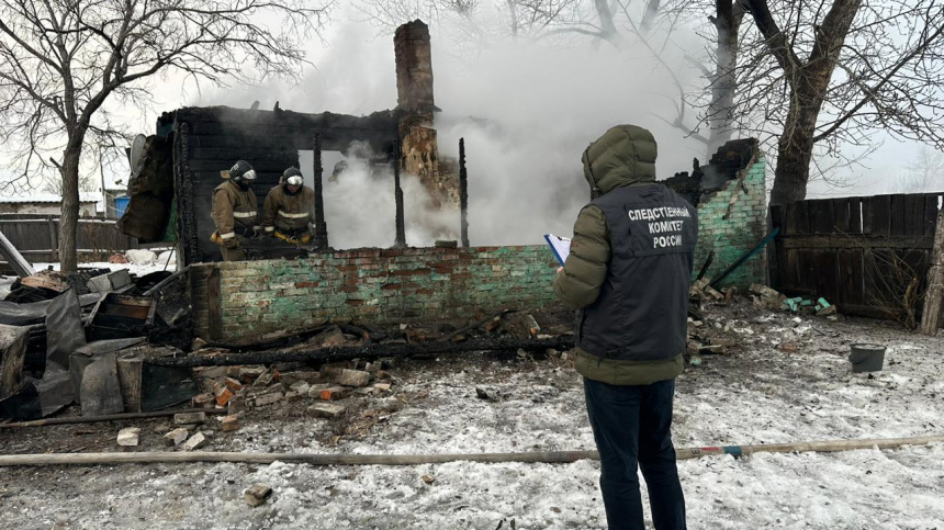 Мать и четверо детей погибли в пожаре под Новосибирском