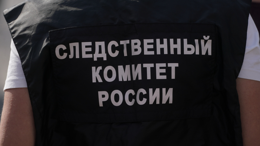 Осквернение: женщина в нижнем белье устроила танцы у военного мемориала в Муроме