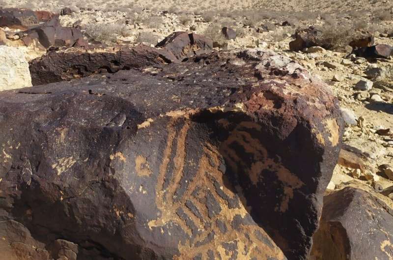 Учёные назвали грибы и лишайники главным врагом древних наскальных рисунков