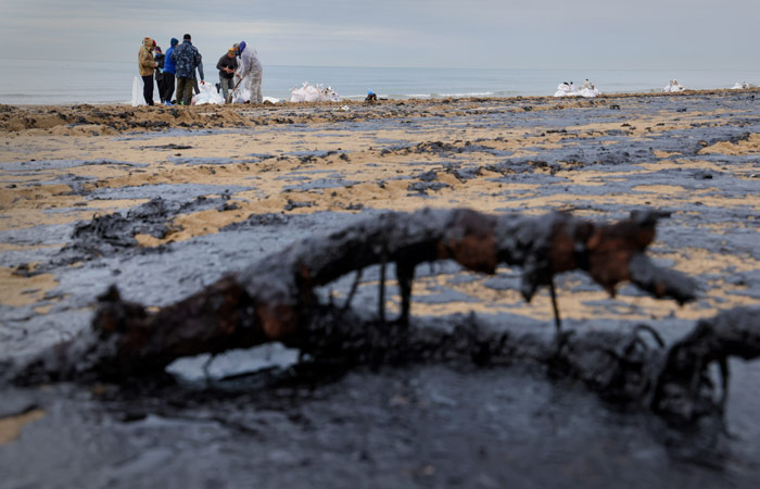 Уже более 20 погибших дельфинов нашли после разлива мазута в Керченском проливе