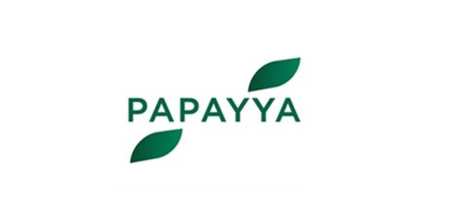 В России появится новая платёжная система Название уже есть  Papayya