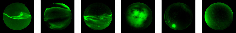 706 миллионов снимков: искусственный интеллект помог учёным систематизировать крупнейшую базу данных полярных сияний