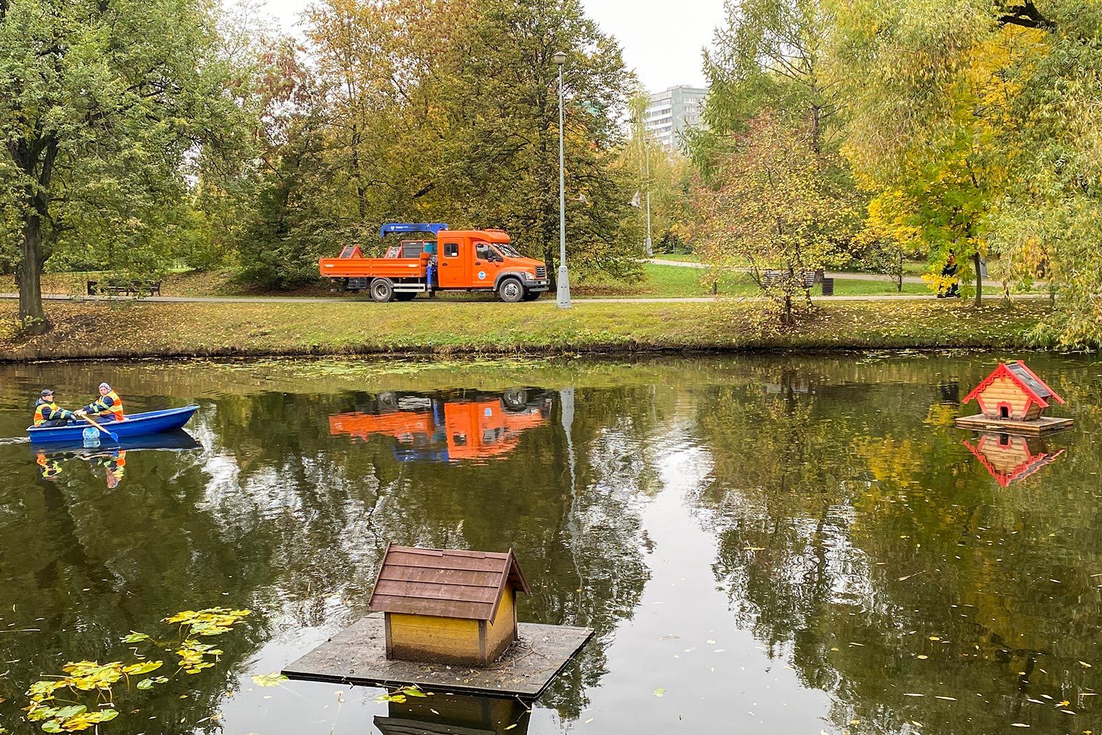 Зима близко: утиные домики убирают из городских водоемов