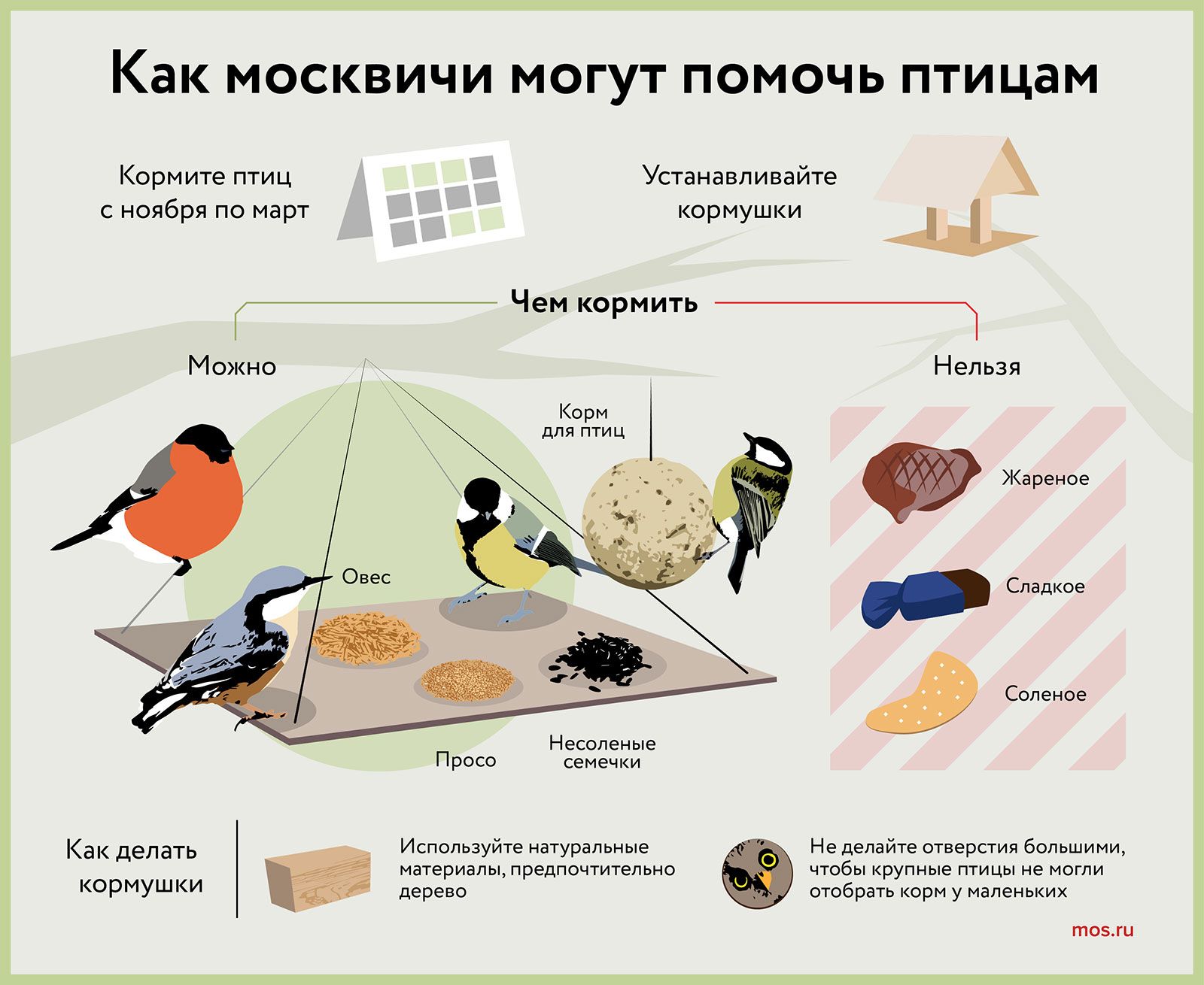 Москвичей приглашают присоединиться к экологической акции Накорми птицу