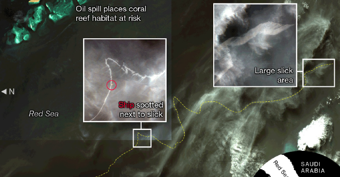 Bloomberg: в Красном море появилось большое нефтяное пятно