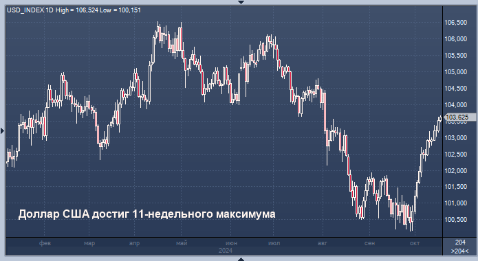 Курс доллара достиг 11-недельного максимума