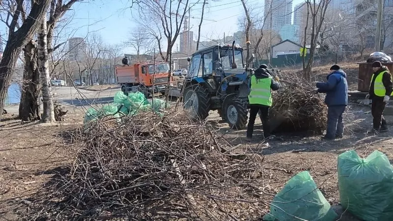 Владивосток очищают от сухой травы, ведут санитарную обрезку деревьев