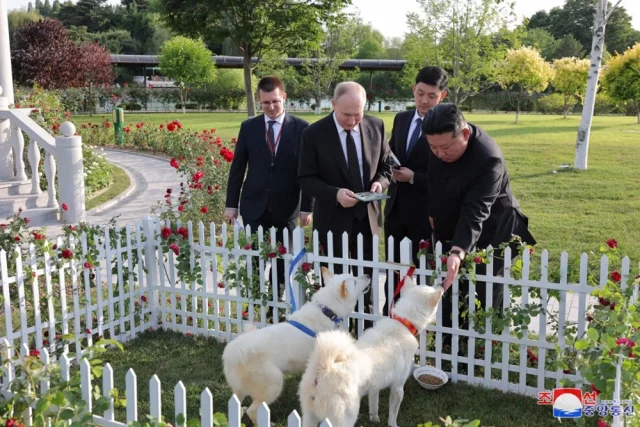 Собаки президента России Владимира Путина