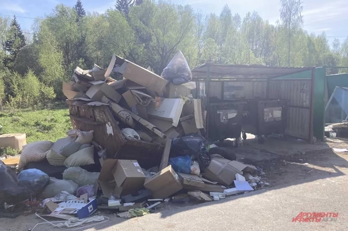 Будто бомба упала. Жителей подмосковной деревни достала свалка у дороги