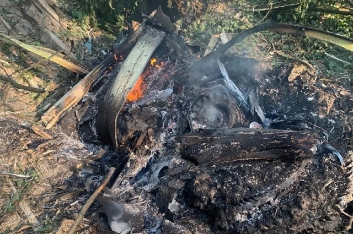 Третье ЧП за 2 года. Рухнувший под Коломной самолет уже попадал в передряги