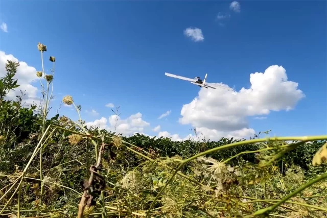 Дроны-камикадзе уничтожают мобильные группы ВСУ в Курской области