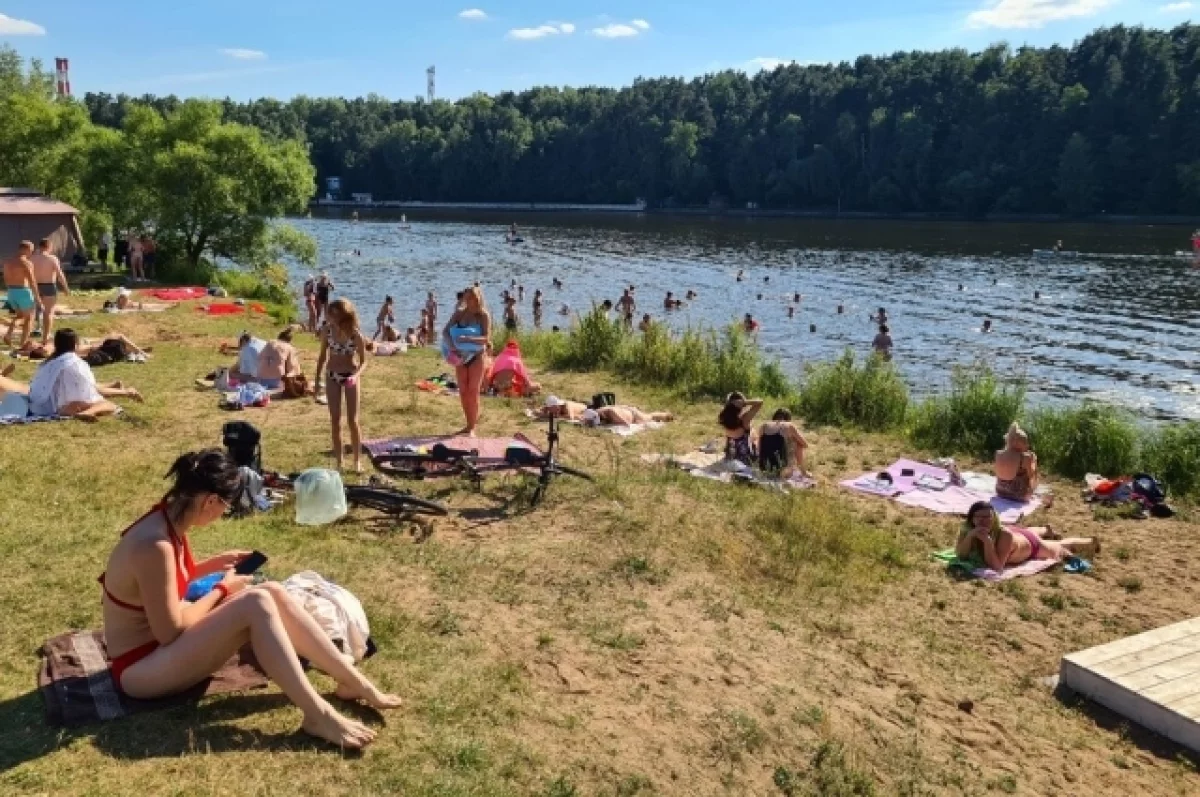 Завтракал на пляже. В Серебряном Бору встретили исчезающую птицу клинтух