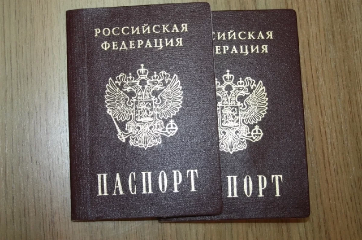 Волк: МВД помогает обратившемуся к Путину немцу в получении гражданства РФ