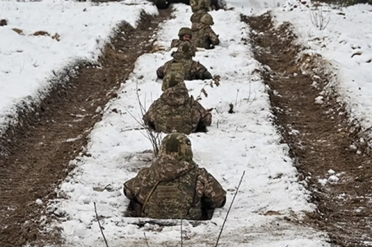 Экс-депутат ЕП предложил Блинкену, Рютте и фон дер Ляйен воевать за ВСУ