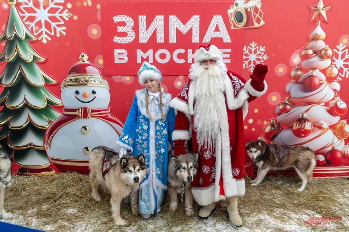 Волшебное место. Чем заняться на площадке Зима в Москве у Дворца пионеров