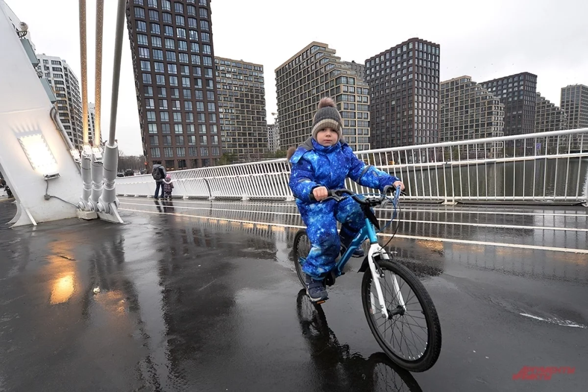 Уже весна?! В Москве больше не будет классической зимы