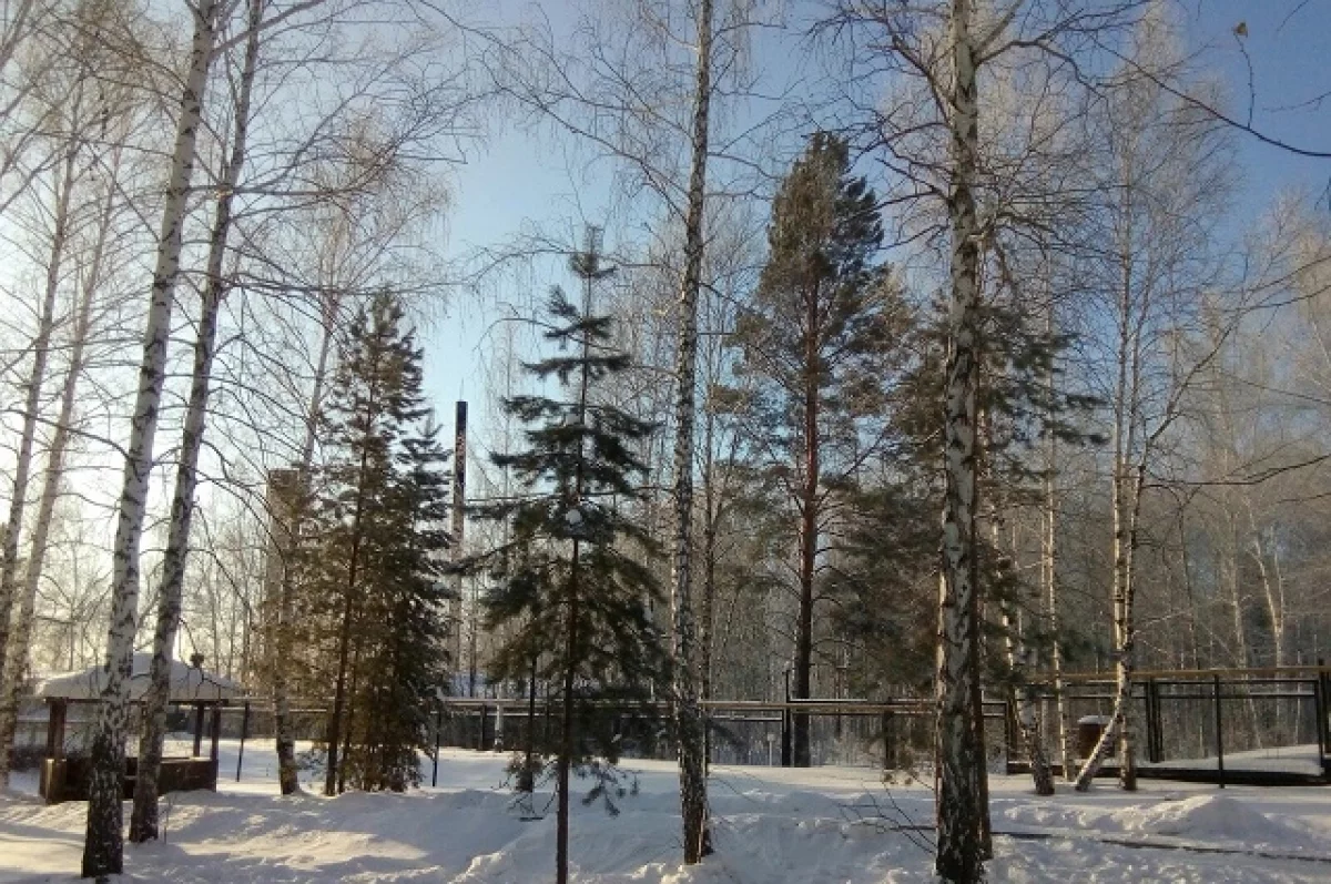 Погода как перед Первой мировой. Синоптики рассказали, каким будет февраль