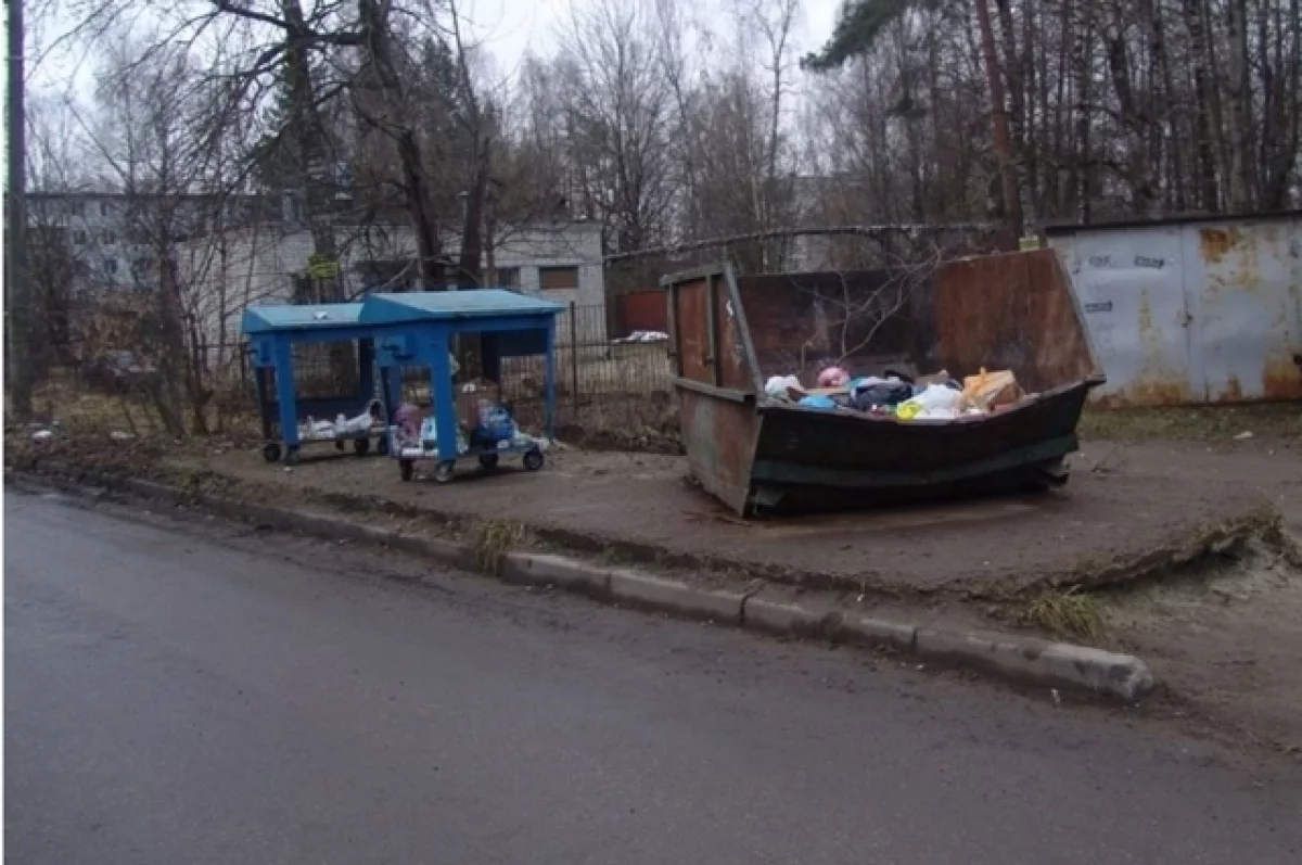 Трем брянским УК грозят стотысячные штрафы за мусор во дворах