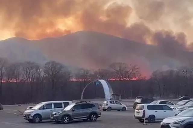 Лесные пожары в Приморье