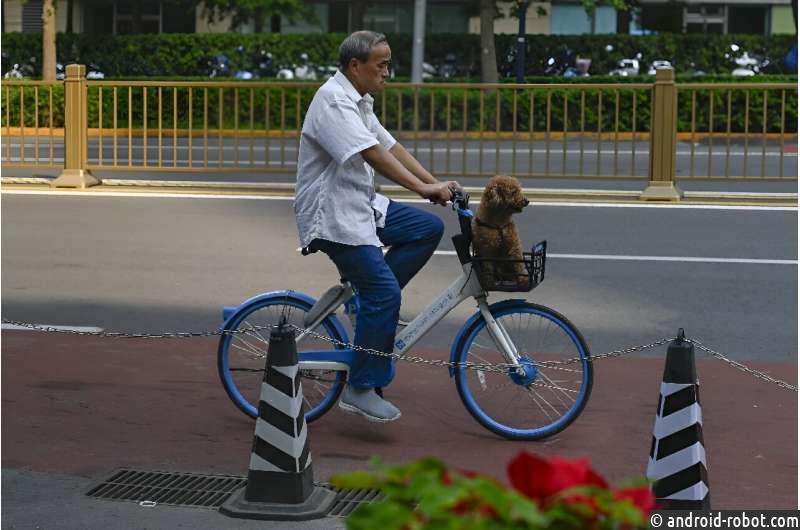 Китайский гигант проката велосипедов Hellobike планирует выйти на рынок Европы