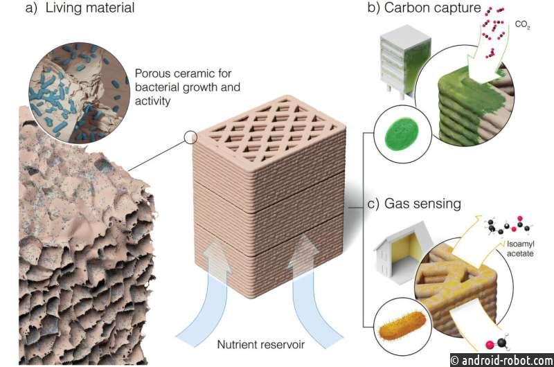 Живая керамика использует бактерии для обнаружения газа и улавливания углерода