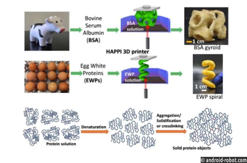 Денатурация белков открывает путь к более устойчивой 3D-печати фотосмол