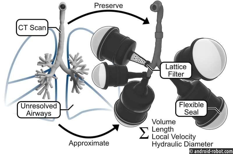 3D-модель легких поднимает планку исследований