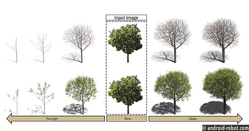 Алгоритм трехмерной реконструкции деревьев вносит вклад в новую эру городского планирования