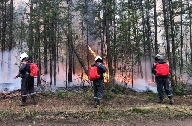 Площадь лесных пожаров в Якутии превысила 631 тысячу га