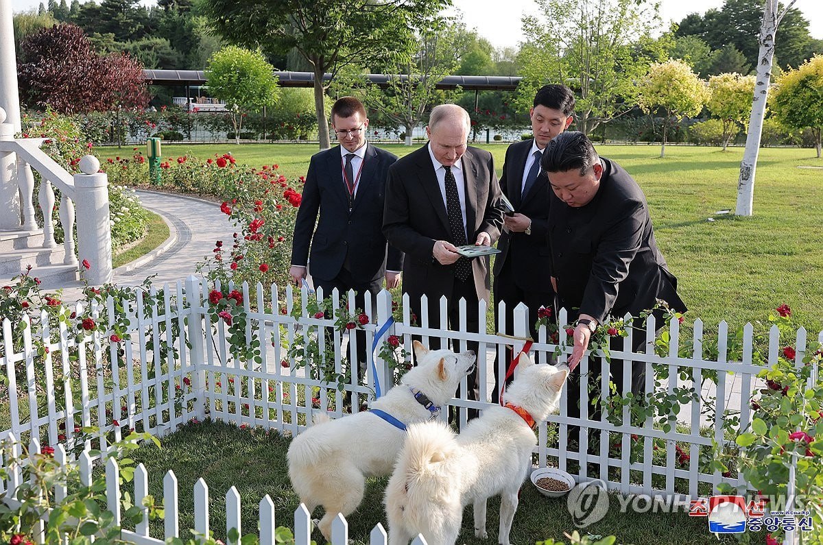 Песков: Подаренные Путину Ким Чен Ыном собаки получили клички