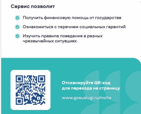 На Госуслугах работает цифровой сервис Чрезвычайная ситуация