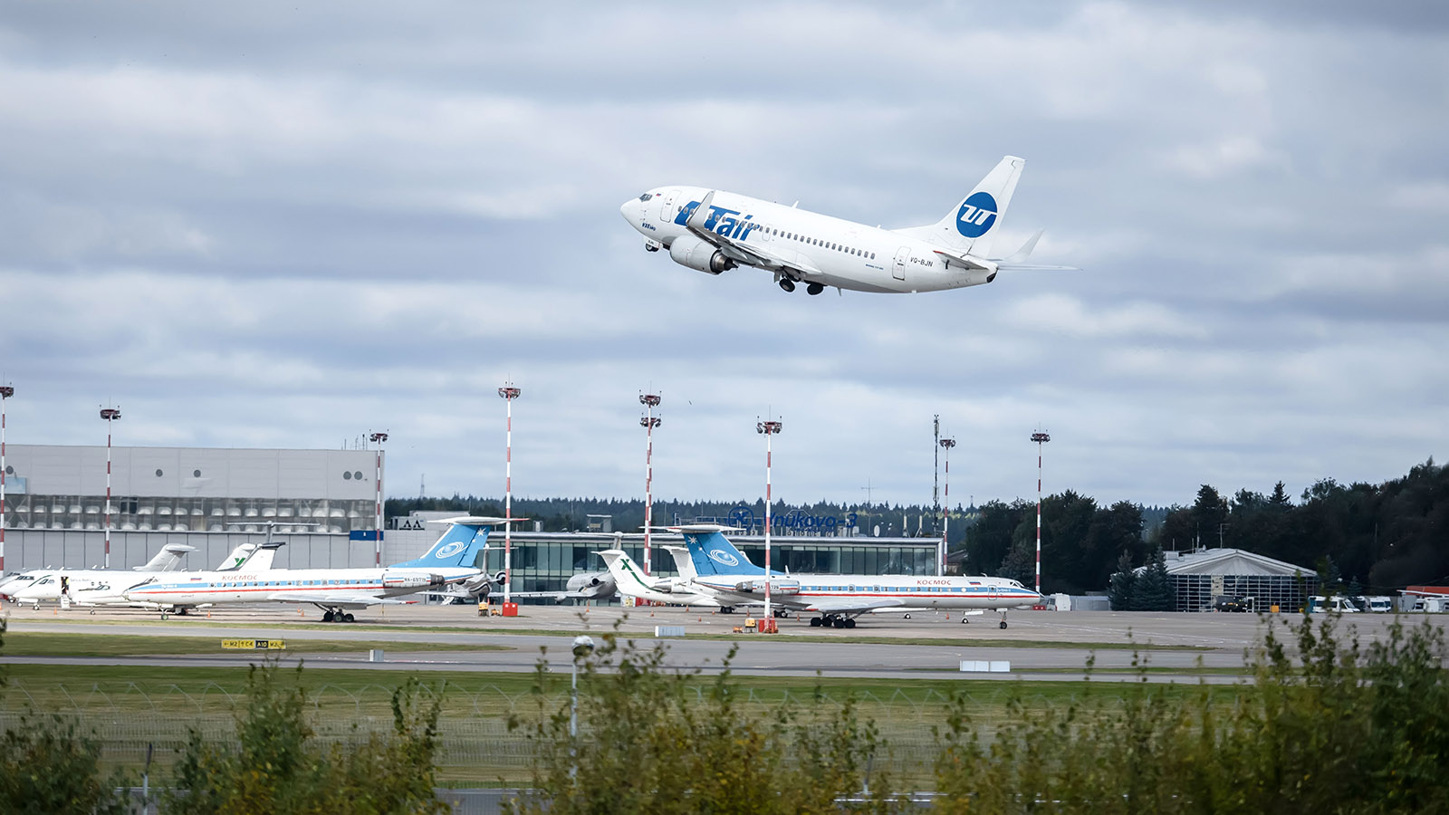 Utair прокомментировала инцидент со смертью кошки на борту из Москвы в Анталию