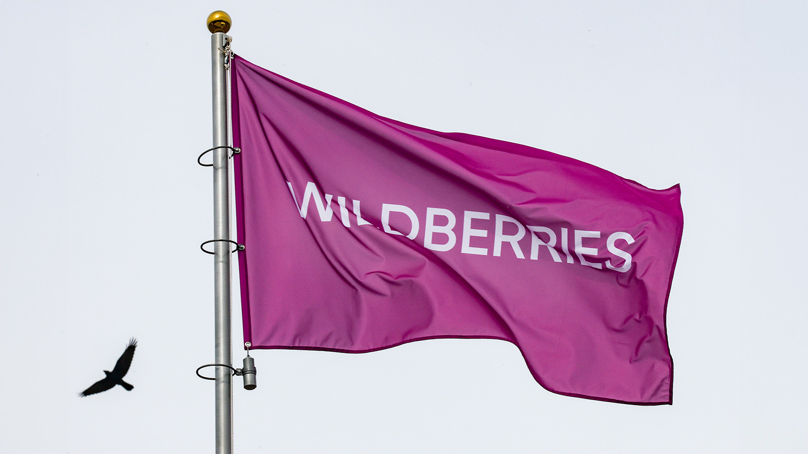 Ведомости узнали долю зарабатывающих на Wildberries продавцов