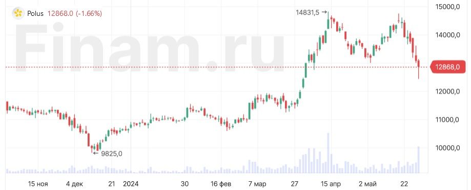 Совет директоров «Полюса» рекомендовал не выплачивать дивиденды за 2023 год