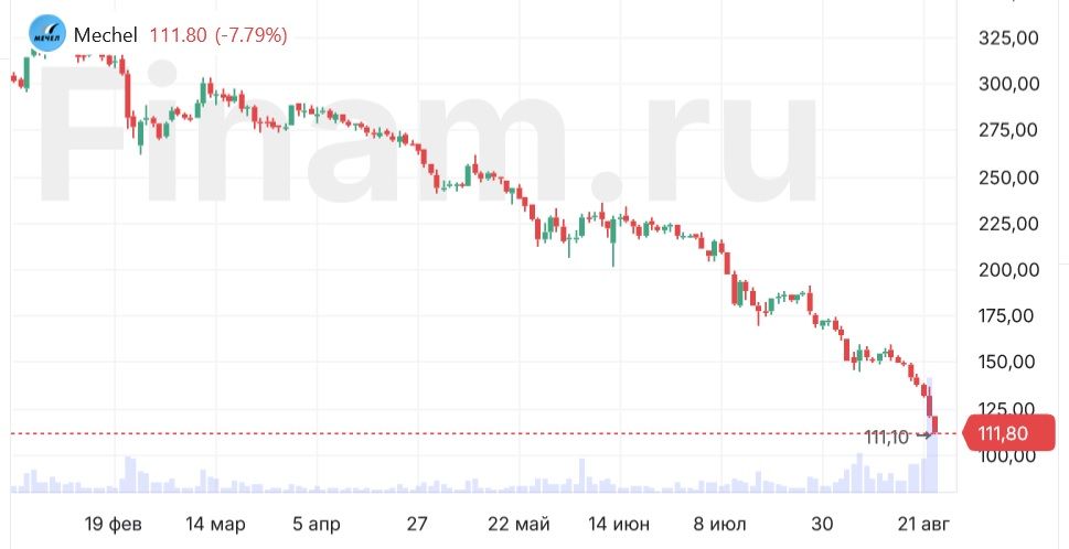 Акции Мечела падают на 8% после выхода отчетности