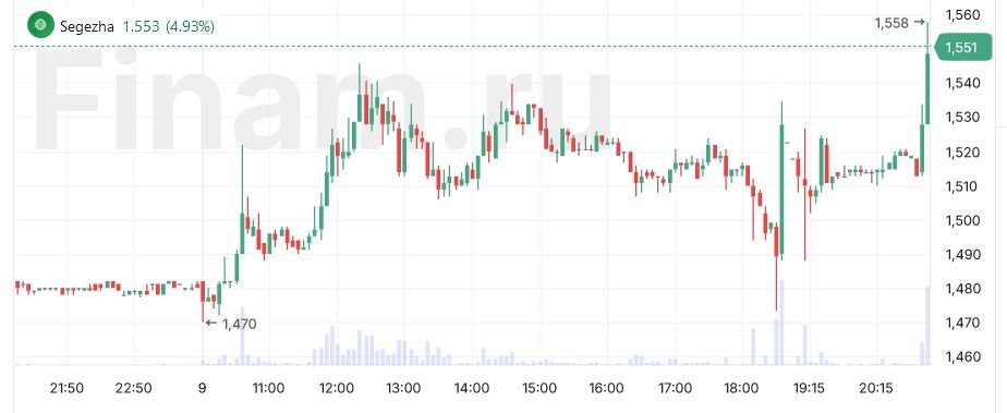 Акции Сегежи ускорили рост до 5% на заявлении Путина