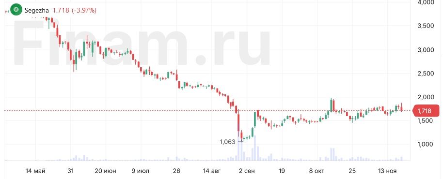 Чистый убыток Сегежи за 9 месяцев вырос на 36,6%