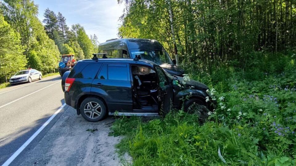 Восемь человек пострадали в ДТП с микроавтобусом в Карелии