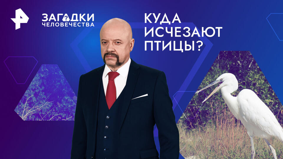 Загадки человечества с Олегом Шишкиным — Куда исчезают птицы? (18.10.2024)