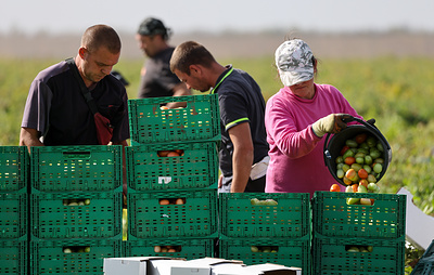 Аграрии Херсонской области получили более 1 млрд рублей субсидий в 2024 году