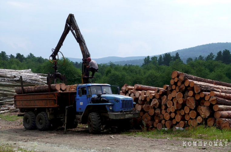 Свердловские прокуроры делят с коммерсантами леса Нижнего Тагила, но суды ущерба не увидели