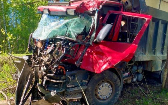 Самосвал врезался в дерево в Суражском районе